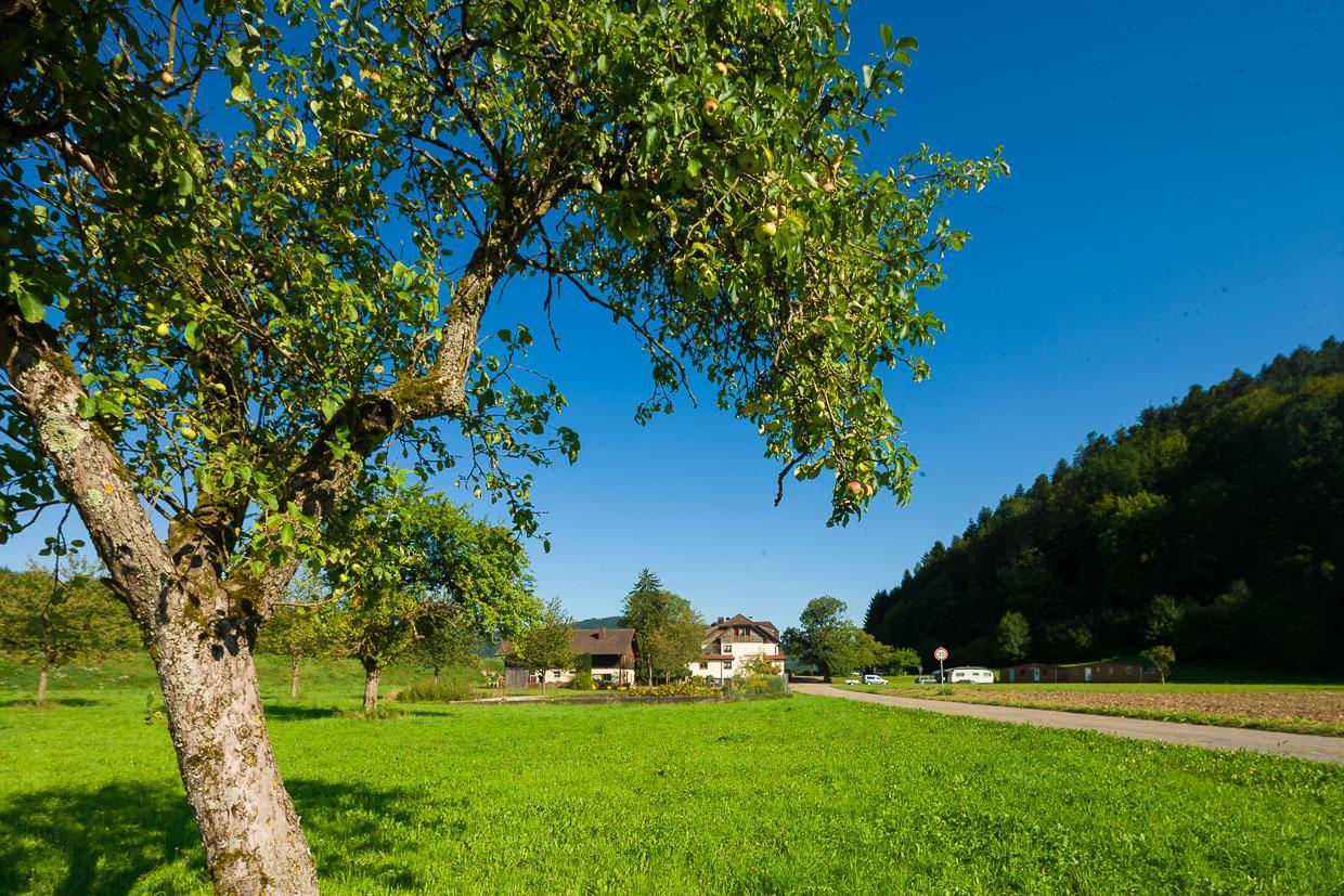 Landgasthof Kinzigstrand Biberach bei Offenburg Exterior foto